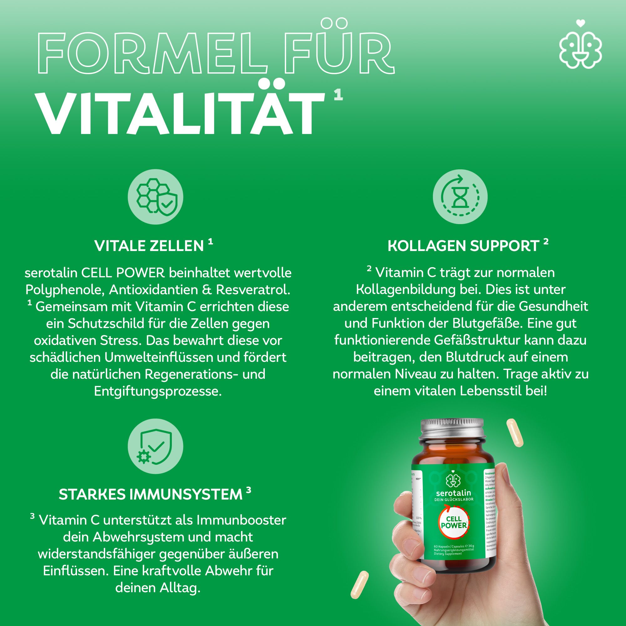 serotalin® CELL POWER I 60 Kapseln - NAC, Resveratrol & Polyphenole I Hochdosiert I Blutdruck