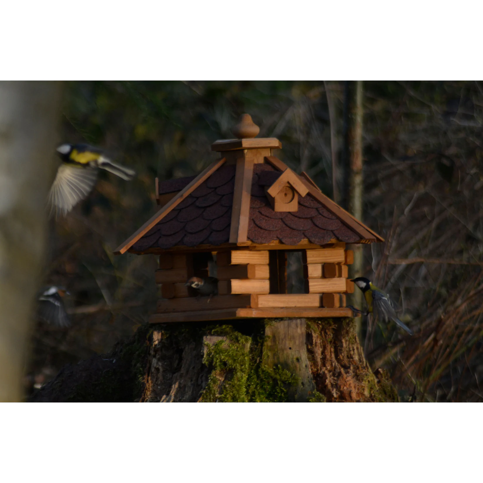 Dobar Rustikales XL-Vogelfutterhaus im Blockhaus-Stil mit rotem Bitumendach, Vogelhaus mit 6 Einfluglöchern