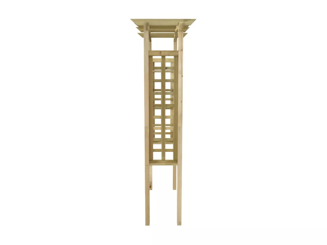 Arche en treillis 110x60x210 cm Bois de pin massif imprégné