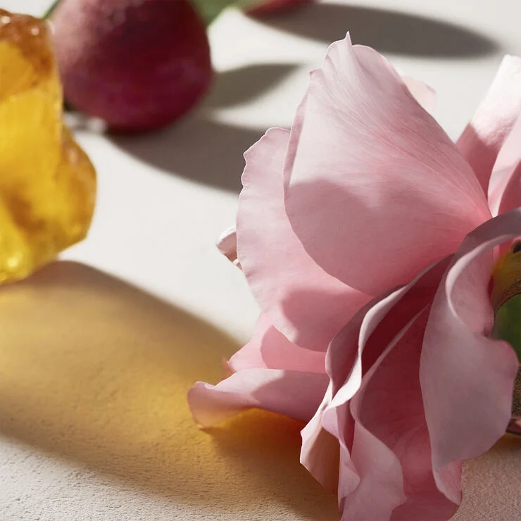 Chloé Chloé Eau de Parfum