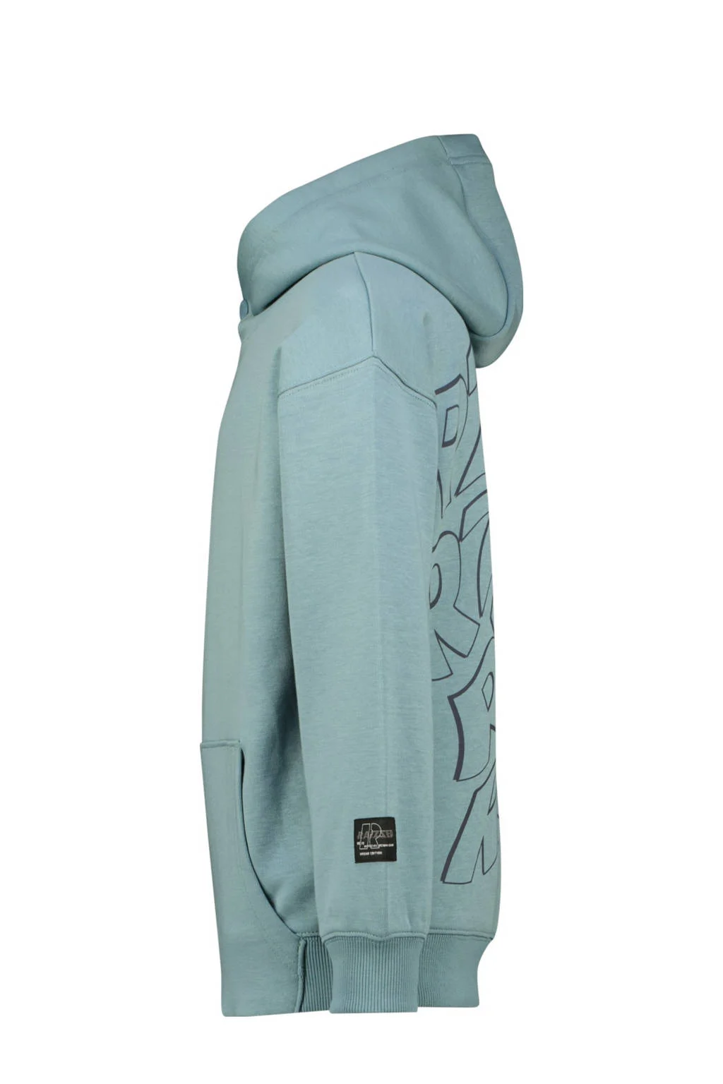 Raizzed hoodie lichtblauw