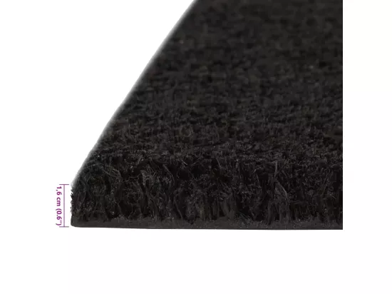 Tapis de porte 2 pcs noir 40x60 cm fibre de coco touffeté