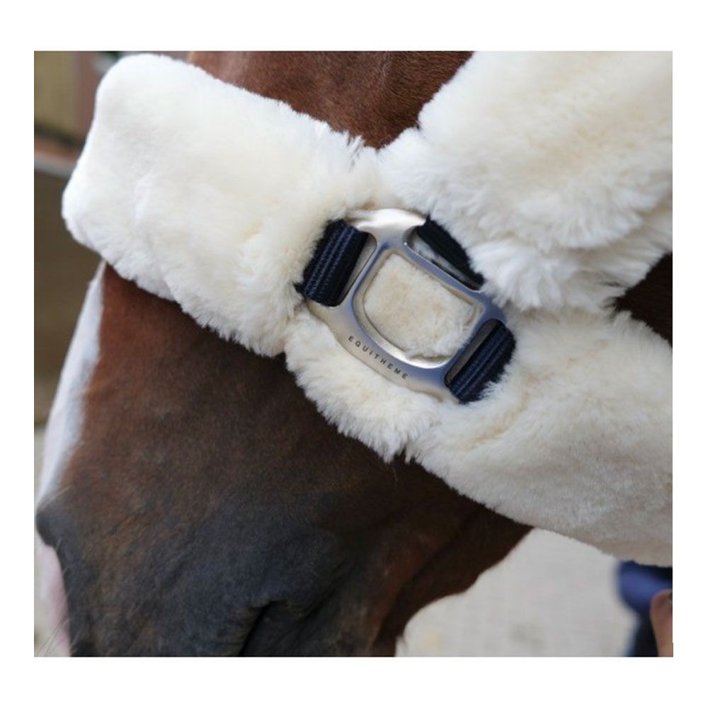 Equitheme TEDDY - Licol mar/ecru
