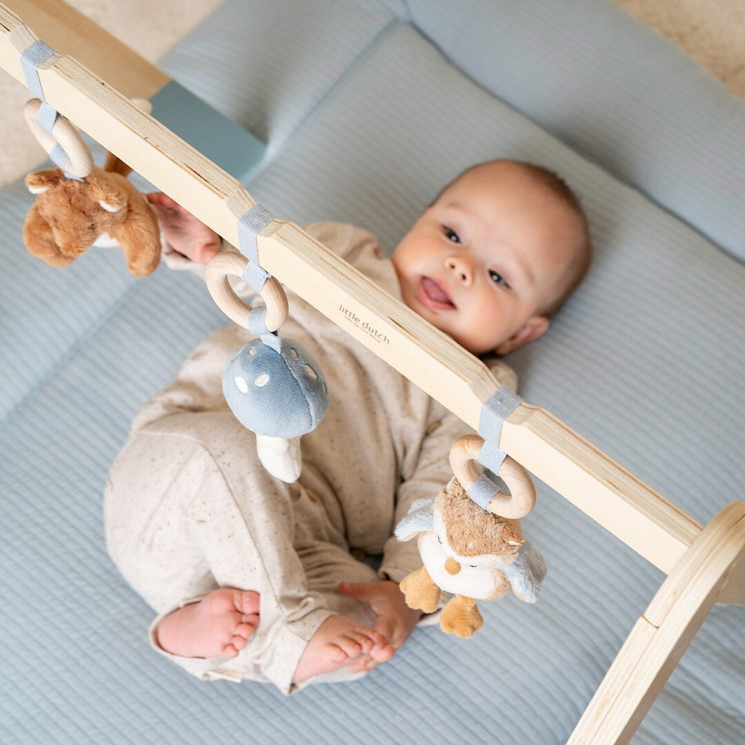 Little dutch babygym met speeltjes forest friends