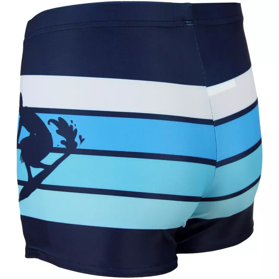 Aquarti Jungen Badehose Gestreift mit Motiven hellblau
