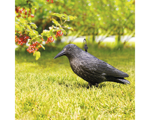 Vogelverschrikker Windhager Raaf H 37 cm zwart