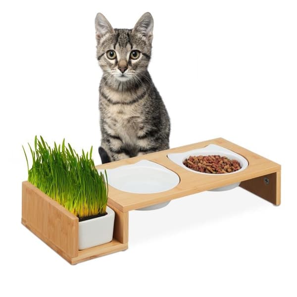 Katteforingsstasjon og kattegressbolle
