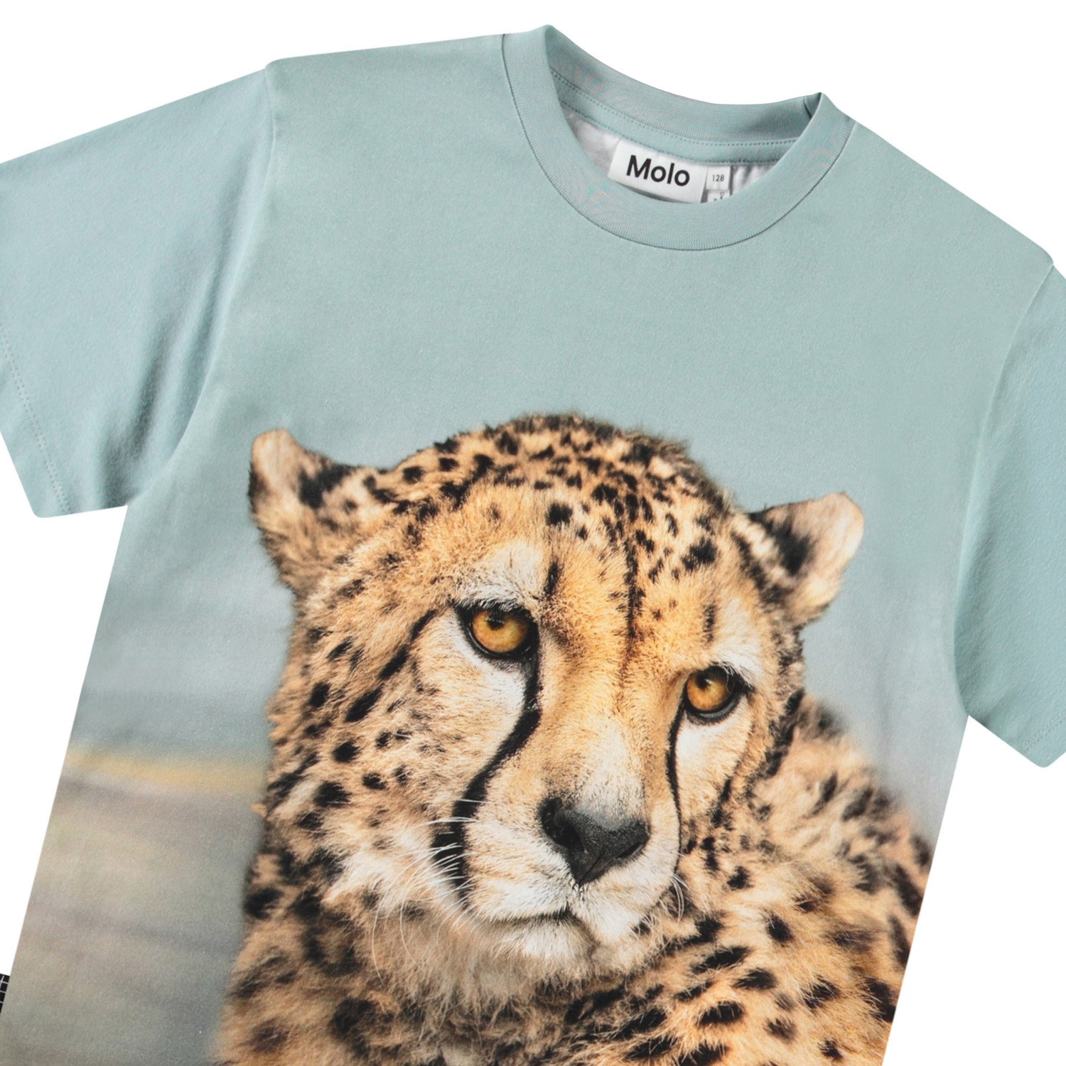 Rubin - Big Cheetah Blue