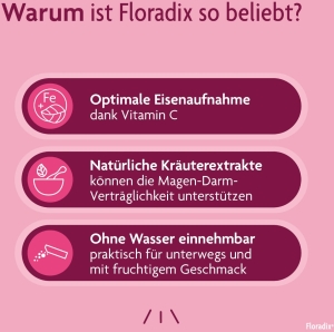 Floradix Eisen + Vitamine Sticks, 20 Stück