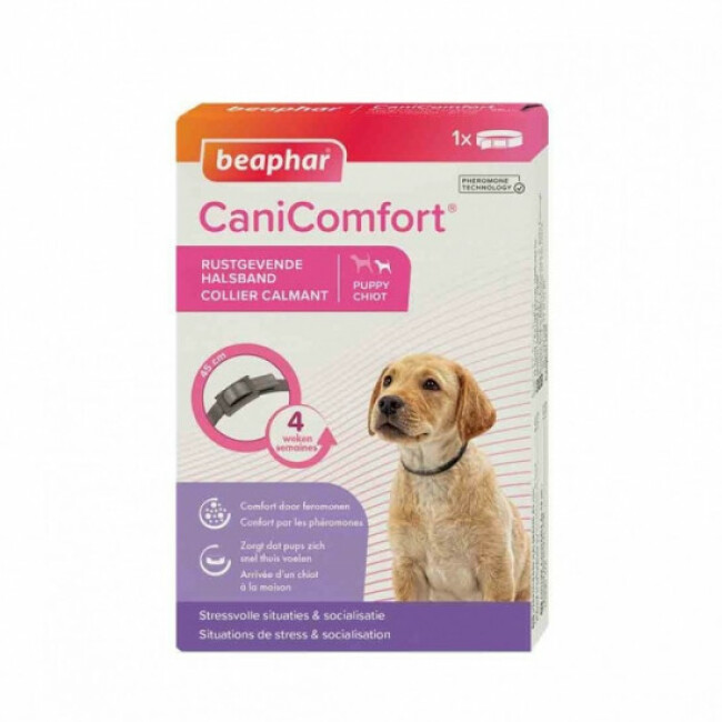 Collier CaniComfort calmant aux phéromones pour chien et chiot