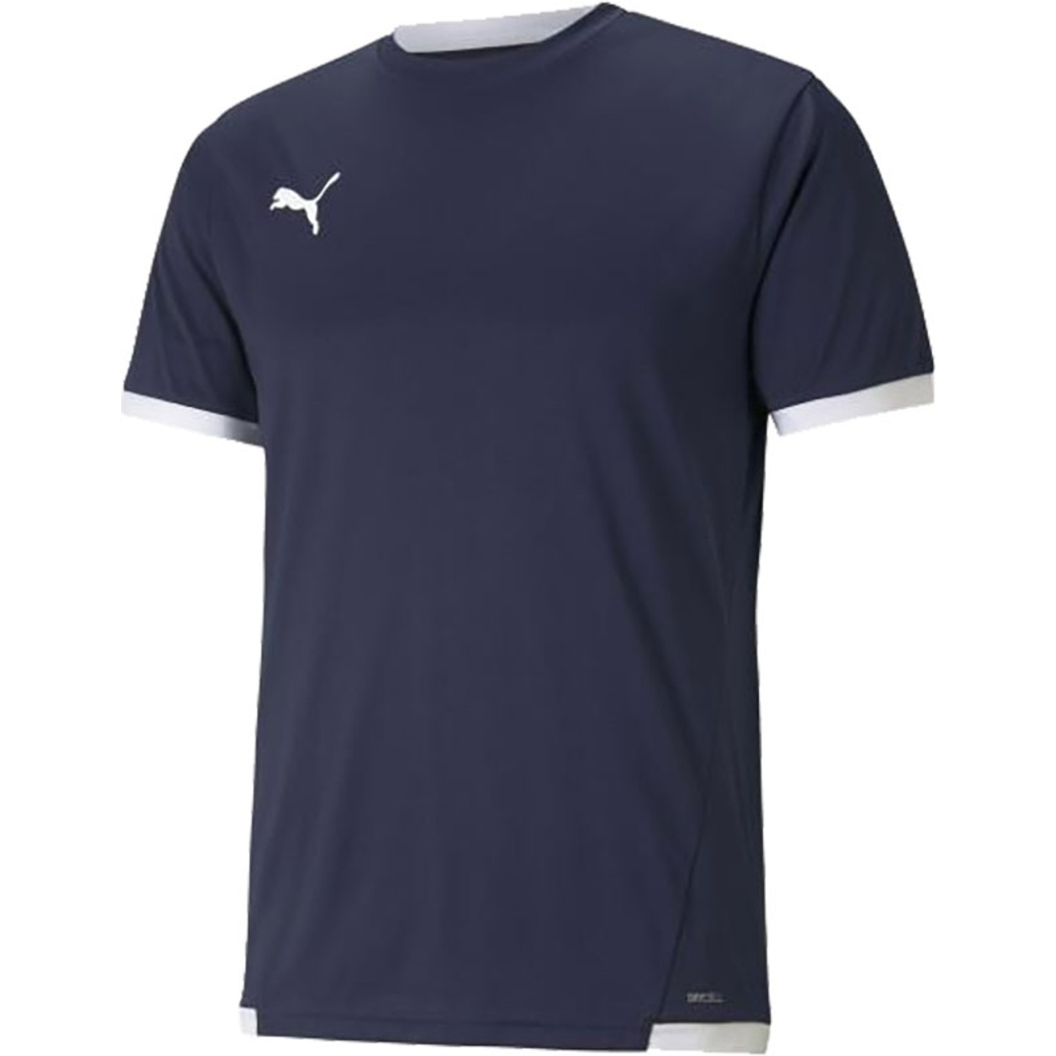 Puma LIGA Trainingsset