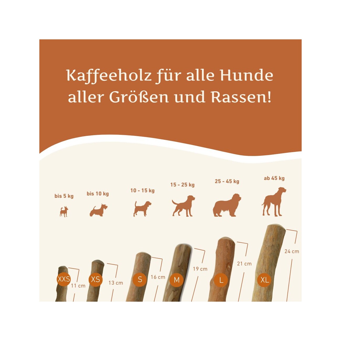 Wildfang ® Kaffeeholz Kaustab 1 XXS