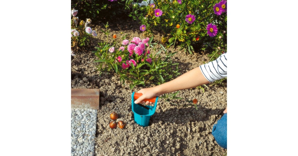 GARDENABollenplanter  (Turquoise/oranje, 3412-20)