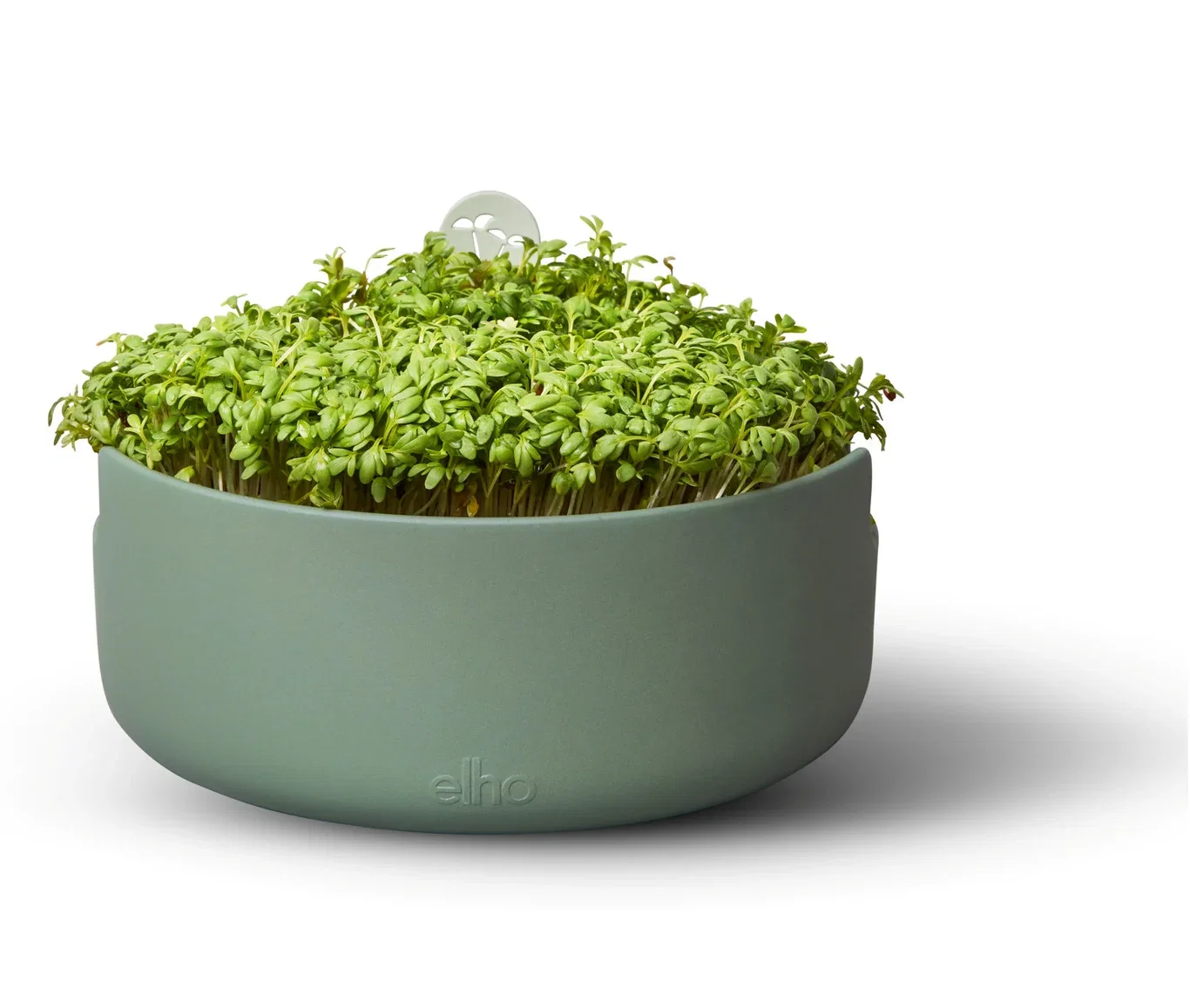 Elho Spireskål Magic microgreens Bredde 17 cm