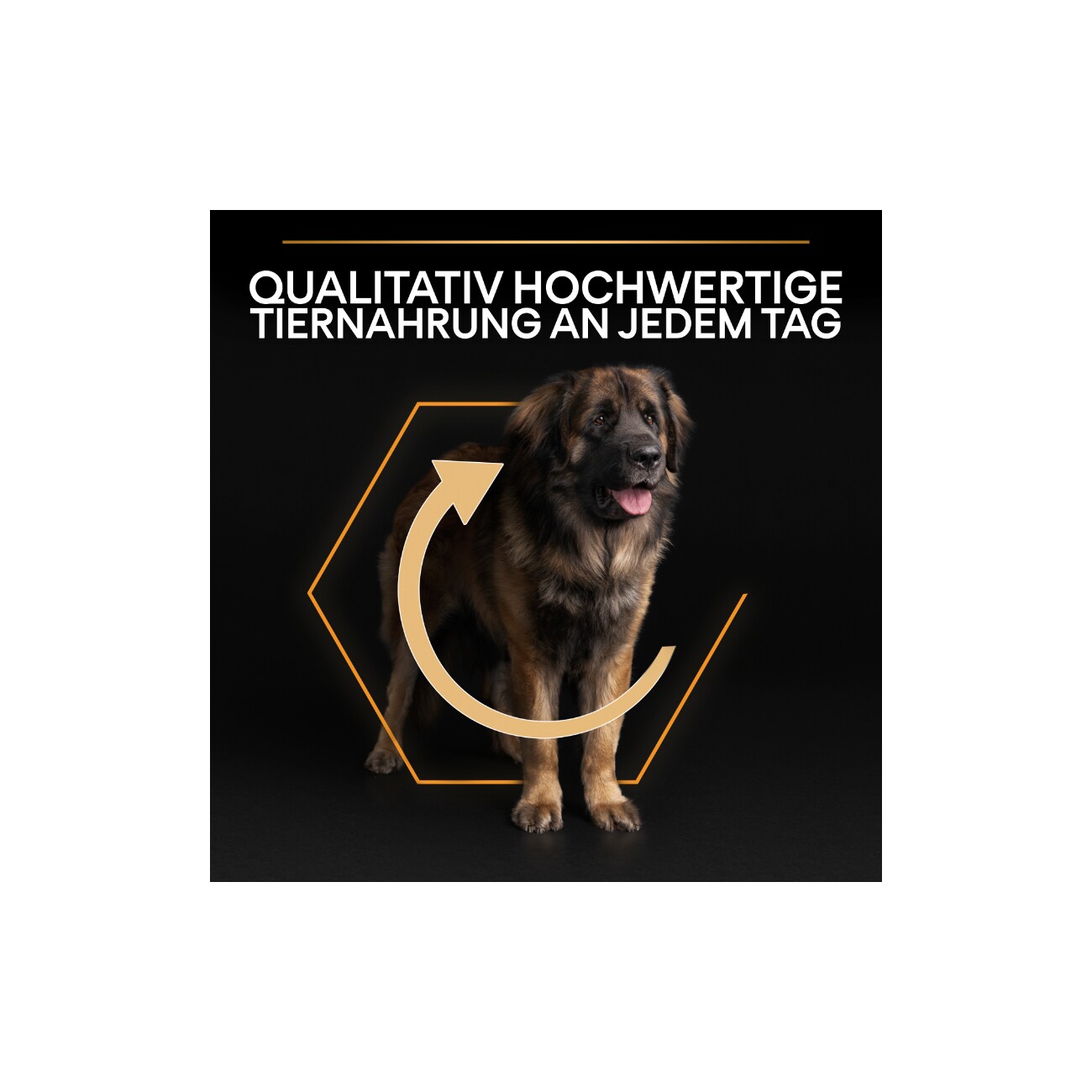 PRO PLAN Adult Large Robust Everyday Nutrition Huhn & Reis 14 kg