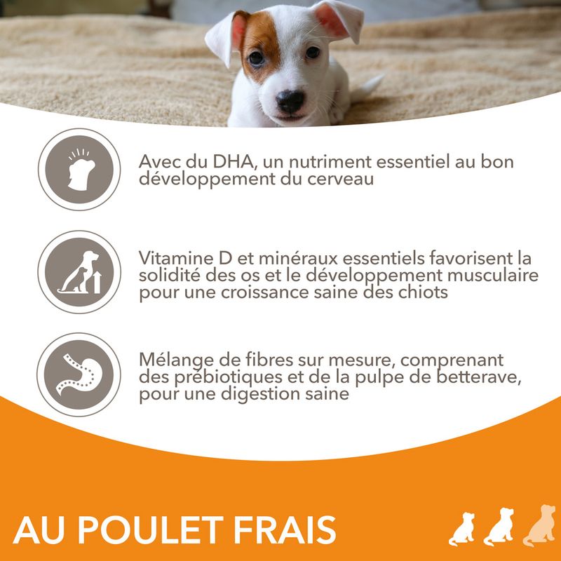IAMS Advanced Nutrition Puppy Small & Medium poulet