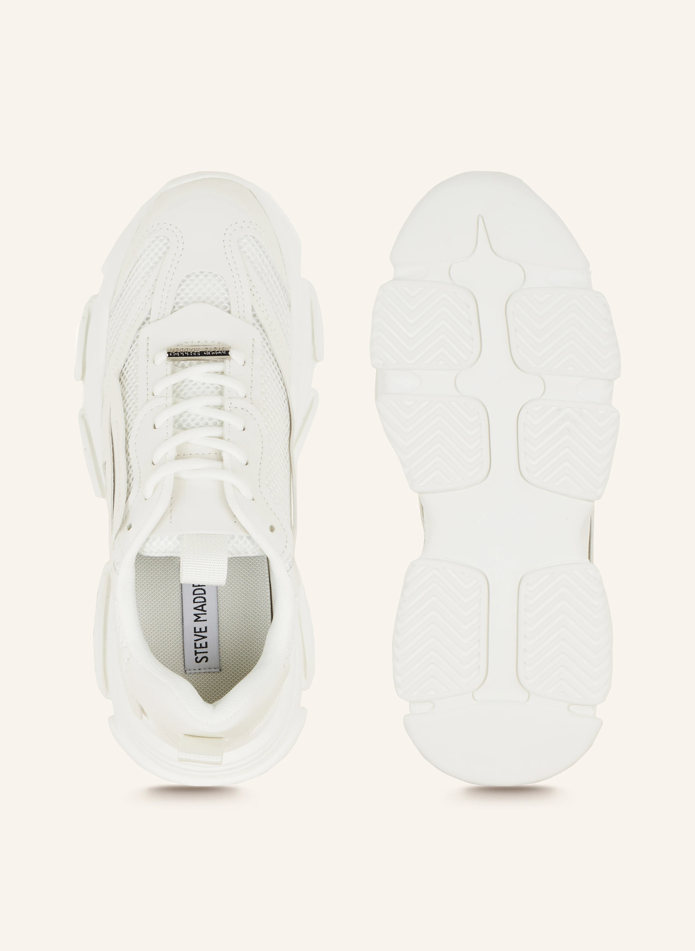 STEVE MADDEN Sneaker POSSESSION-E