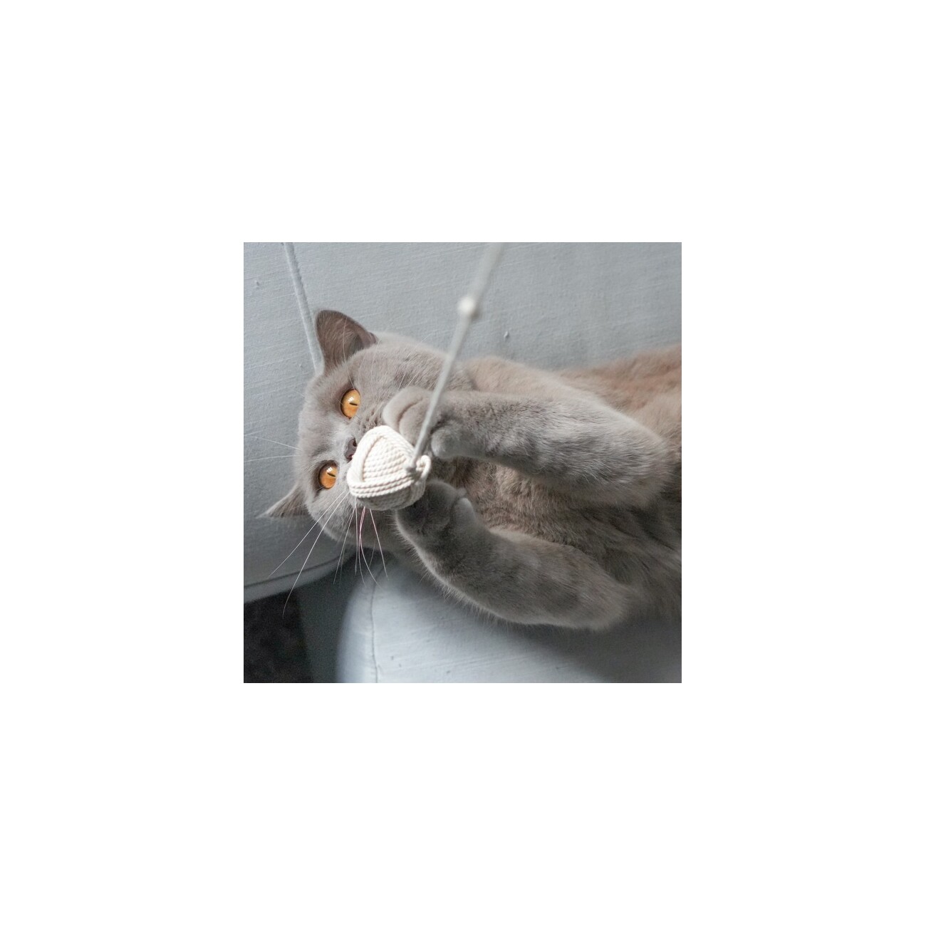 Kater Kasimir 2 Wollknäuel aus Baumwolle als Katzenspielzeug