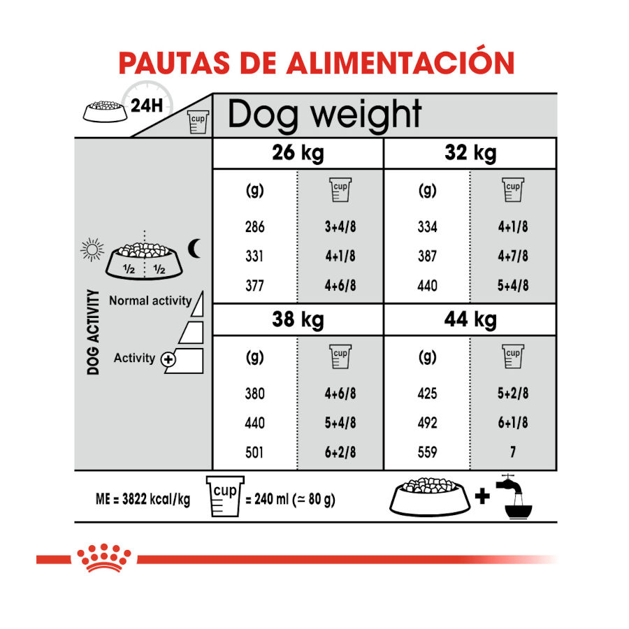 Ração Royal Canin Dental Care Maxi para cães