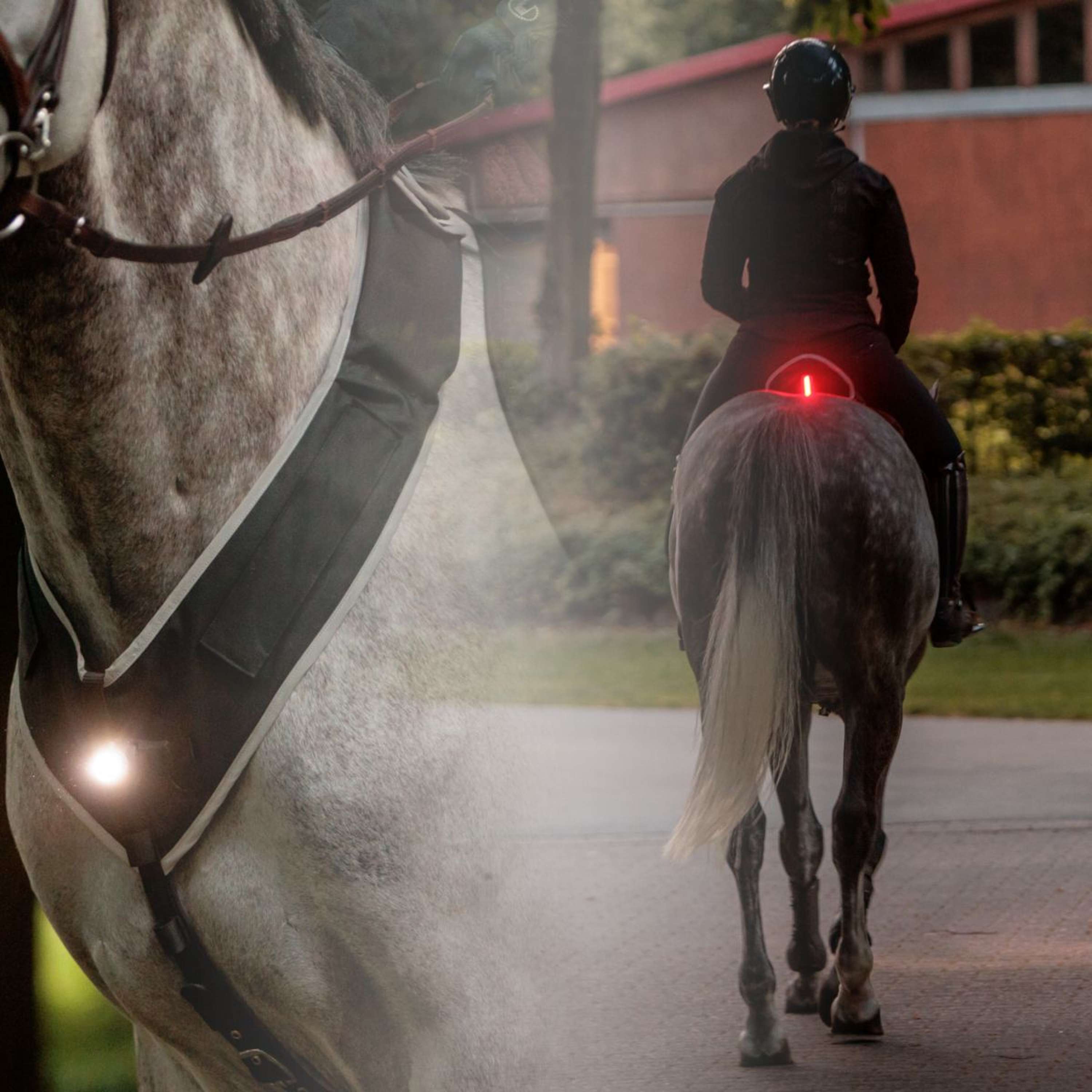 Kavalkade Borsttuig/Zadel Horselight Zwart/Grijs