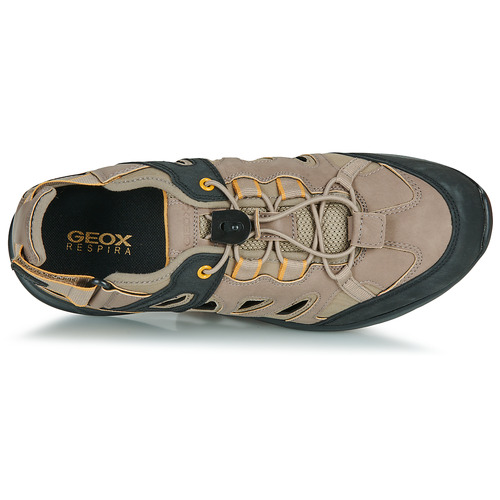 Geox - SANZIO Marrón / Negro / Amarillo