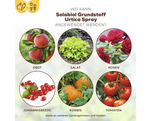 Urtica Solabiol Plantenversterker 1 L Gebruiksklare pompspray voor maximaal 15 m²