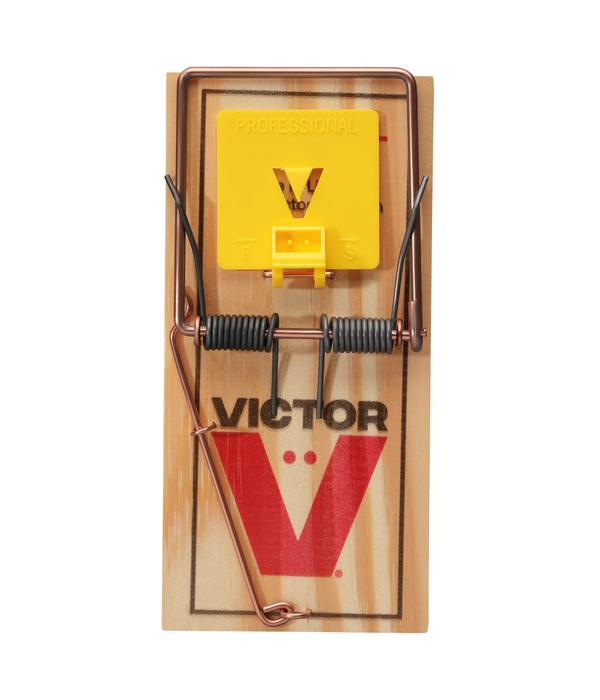 PROTECT HOME Rattenfalle Classic, 1 Stk.