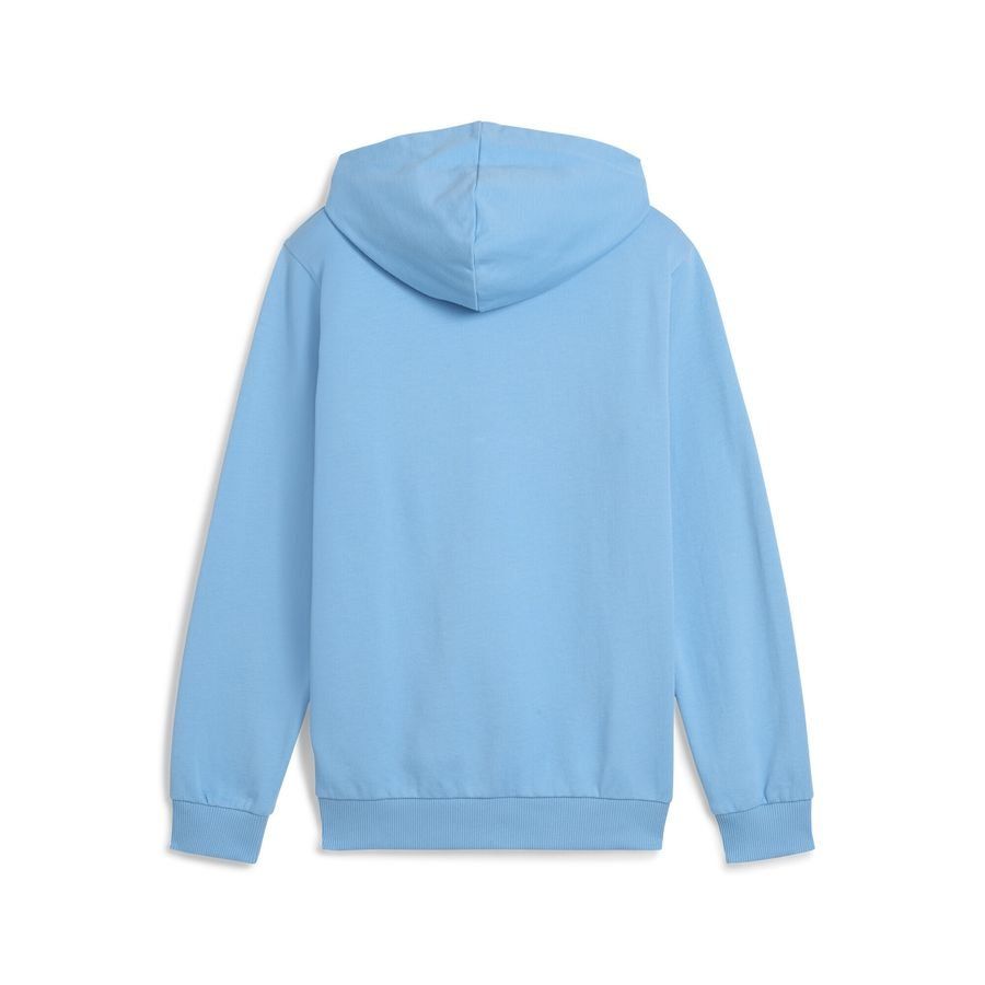 Puma Manchester City ftblNRGY Hoodie