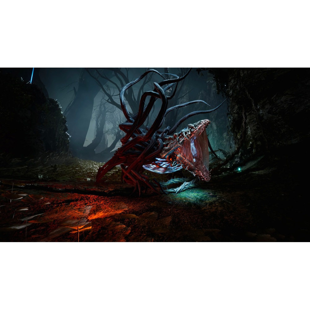 PS5 zurückgeben