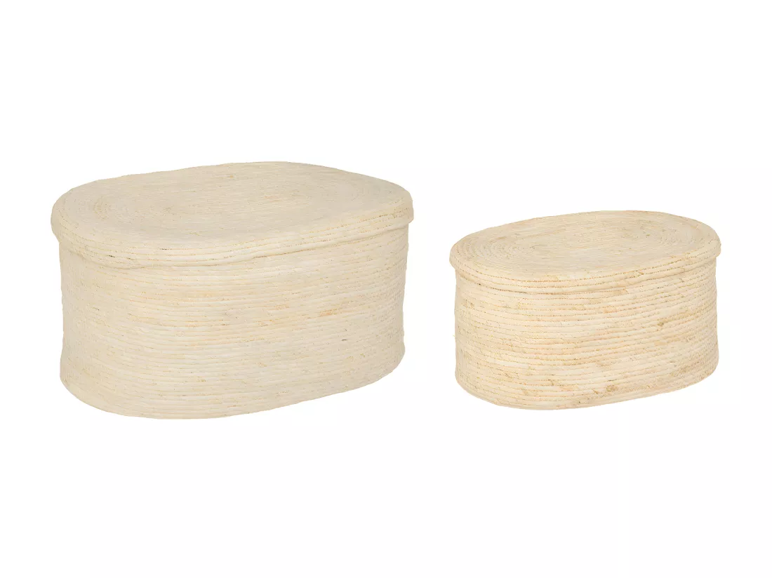 Lot de 2 Paniers de rangement tressés Beige