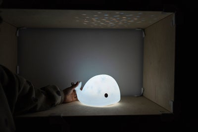 Flow Projektor Moby