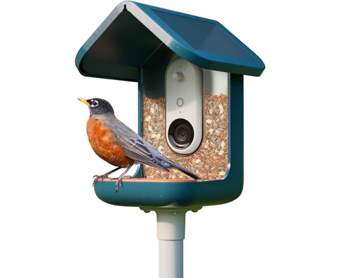 Birdbuddy Smart bird feeder w/ solar roof - Blue