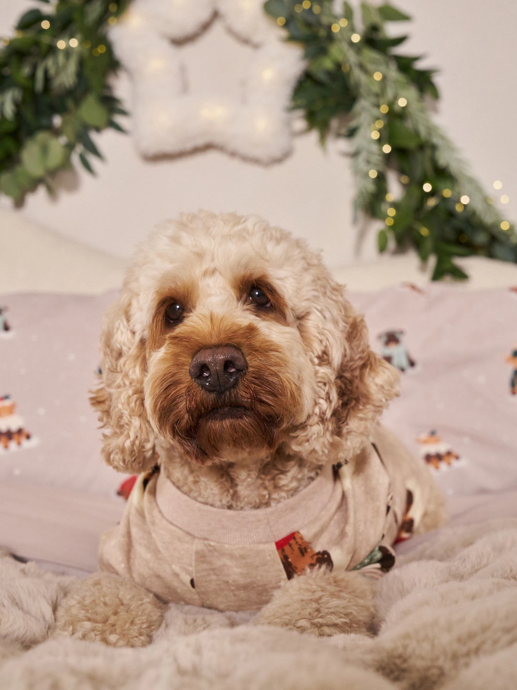 Matching Family - Behaaglijke kerstpyjama voor huisdieren