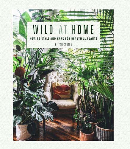 Wild at Home: How to Style and Care for Beautiful Plants (Hardback)