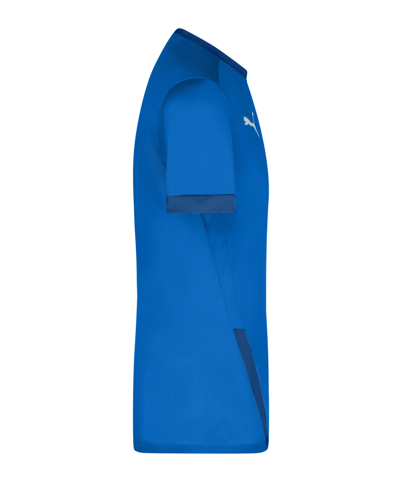 PUMA teamGOAL 23 Trikot kurzarm Blau F02