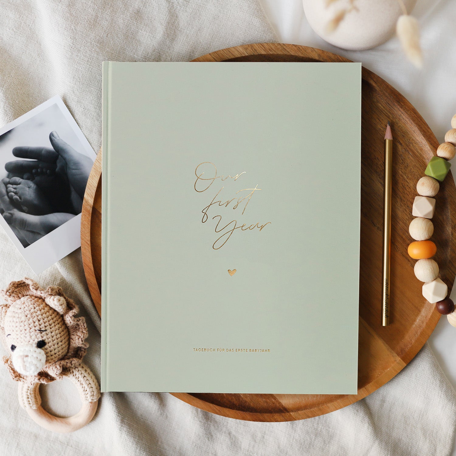 Baby-Tagebuch „Our first year