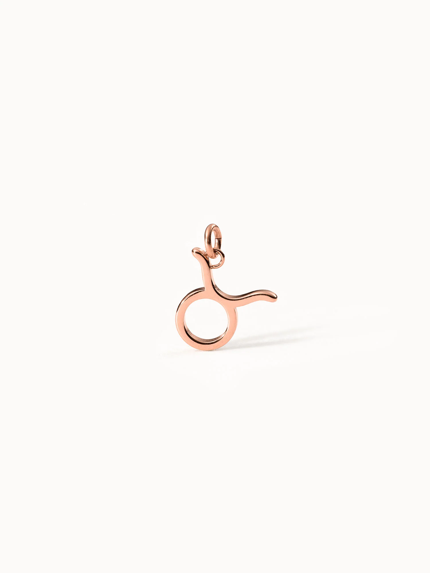 Stier Zodiac Charm - PURELEI