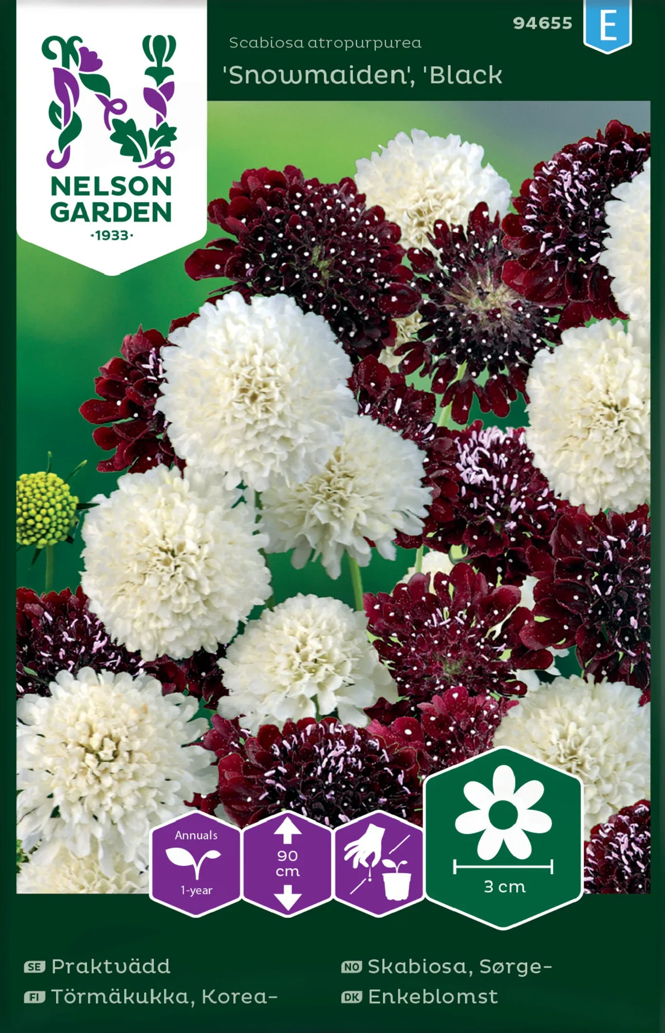 Scabiosa atropurpurea Sørgeskabiosa 'Snowmaiden'& 'Black Knight'