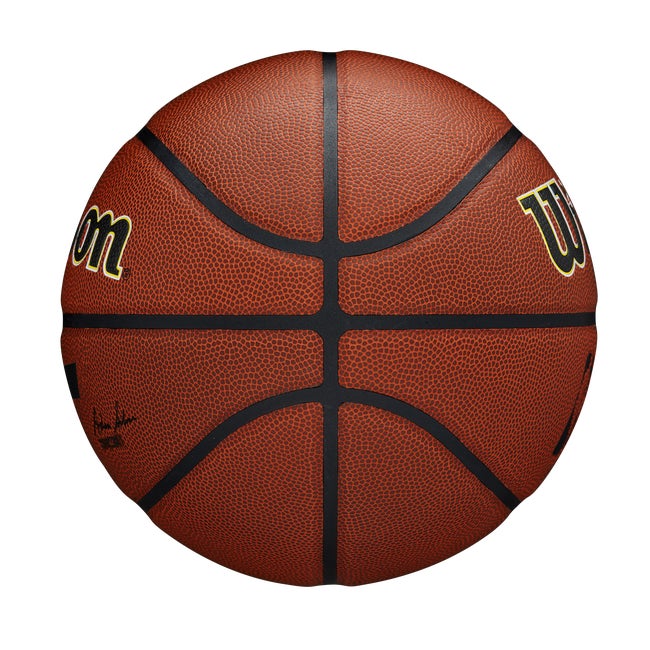 NBA Team Alliance Basketball