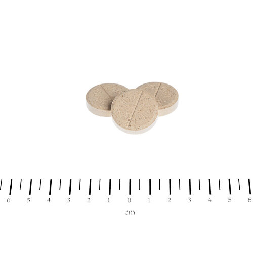 Canina Biotine Forte Tabletten