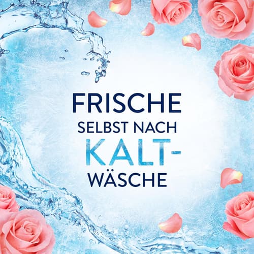 Lenor Weichspüler, Frühlingsgarten