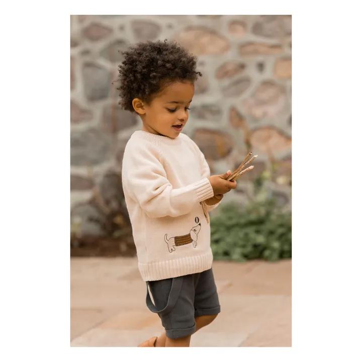 Fliink Pull Magic Broderie Chien Coton Bio | Ecru