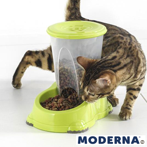 Alimentador de funil grande MP SMART de 3 litros (verde (19 x 29 x 26))