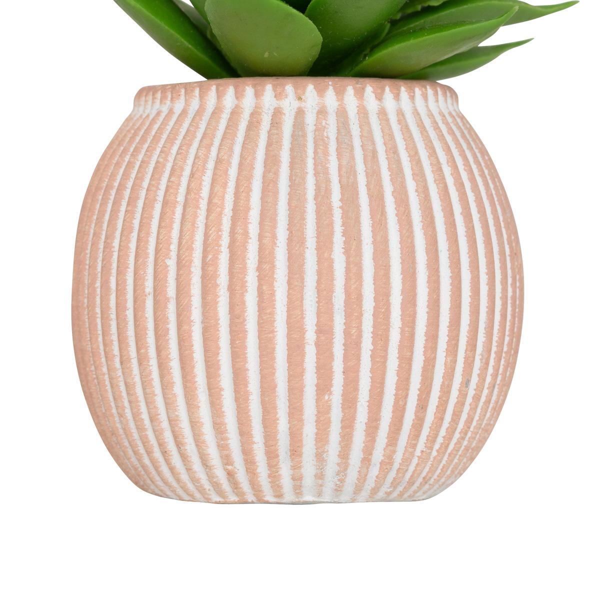 MINI PLANTE GRASSE POT CIMENT UBI H.7CM
