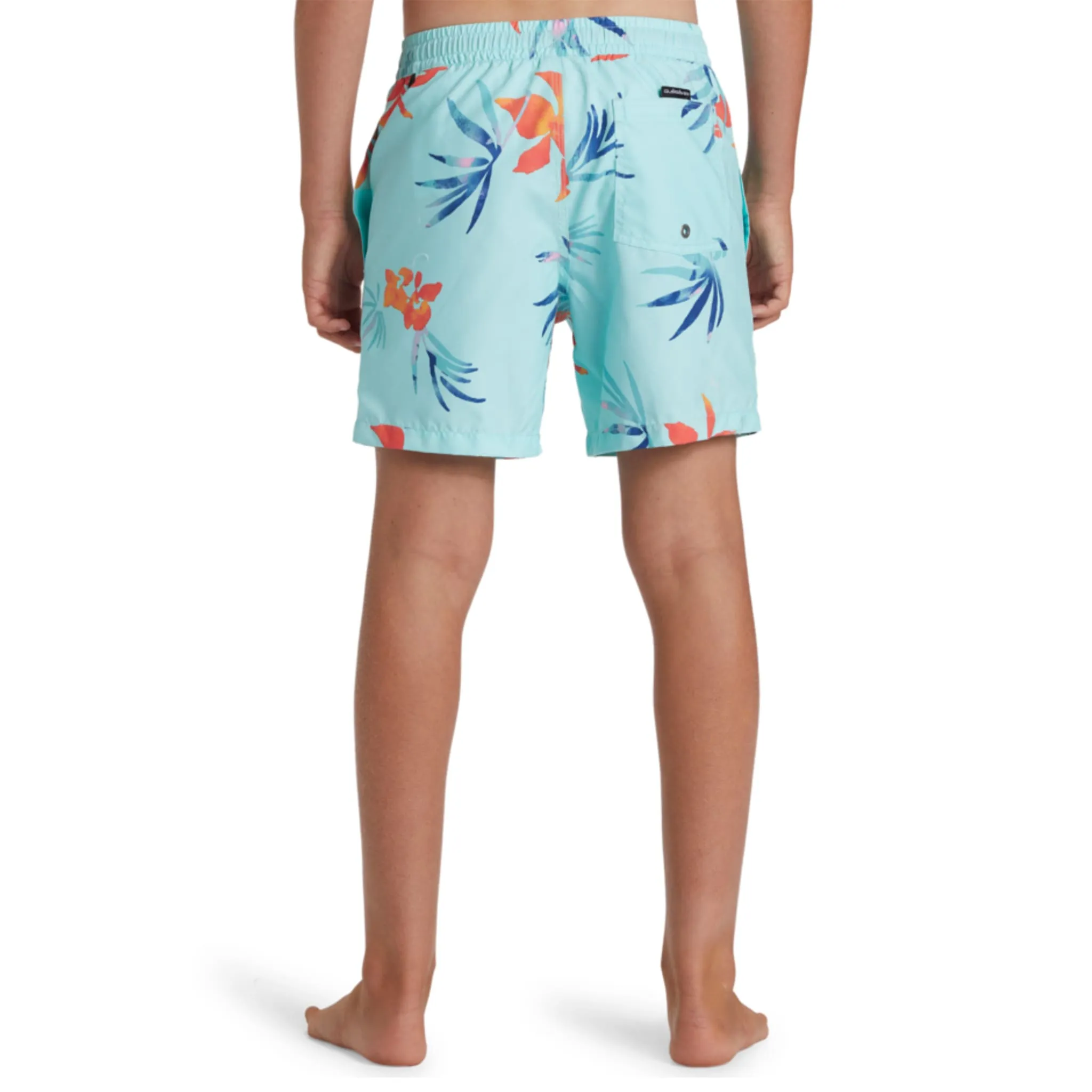 Quiksilver Boardshort Everyday Volley 8-16ans