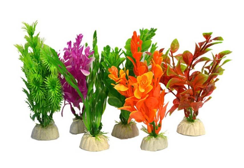 Superfish Aqua plants small