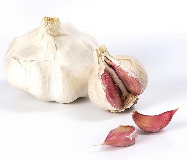 Knoblauch, 6er Schale
