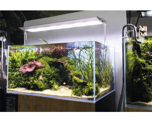 Aquarium AQUAEL UltraScape 90 met LED-verlichting Ultra Slim 90, ca. 243 l, ca. 90 x 60 x 45 cm, OPTI-glas, wit glas, zonder kast