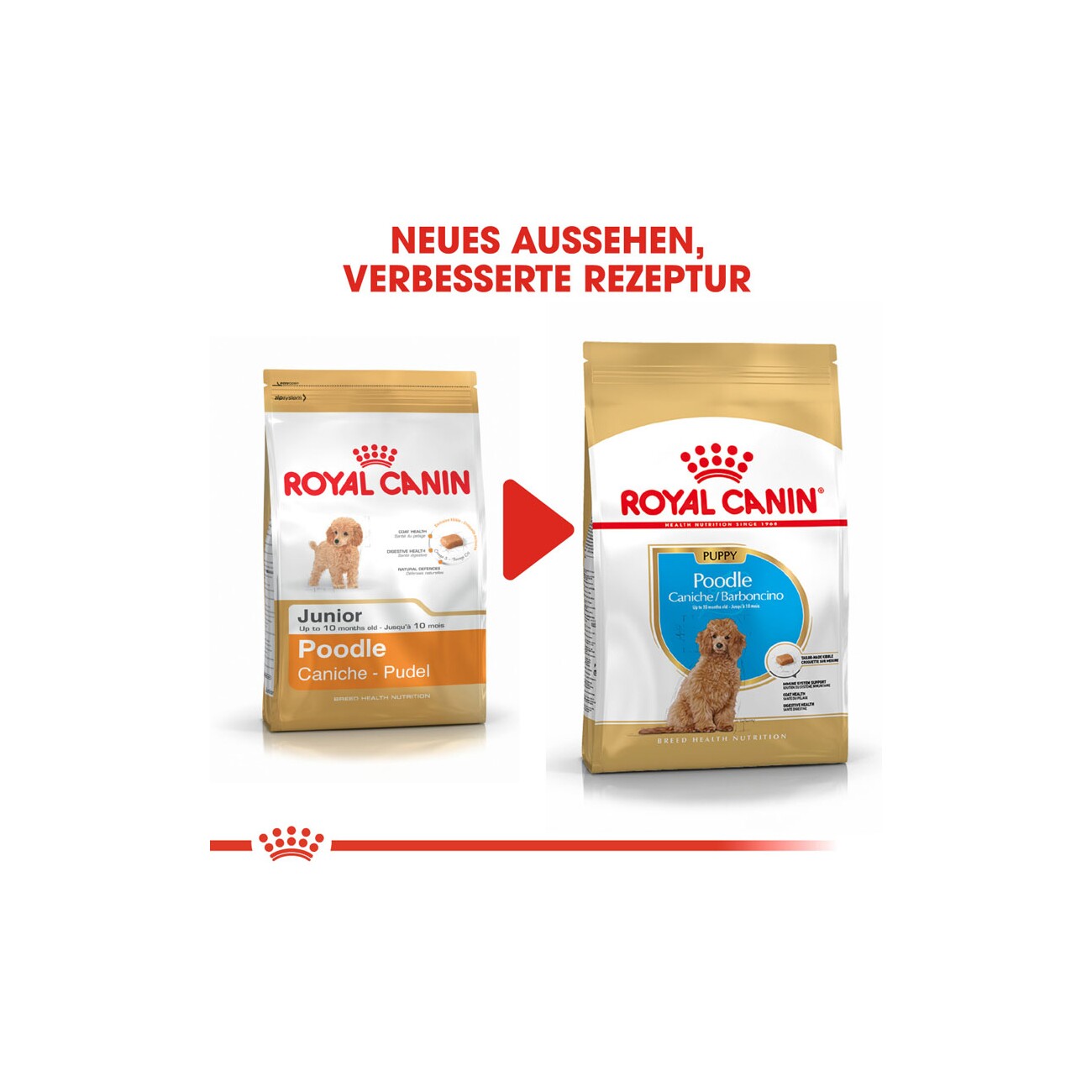 ROYAL CANIN BHN Poodle Puppy 3kg