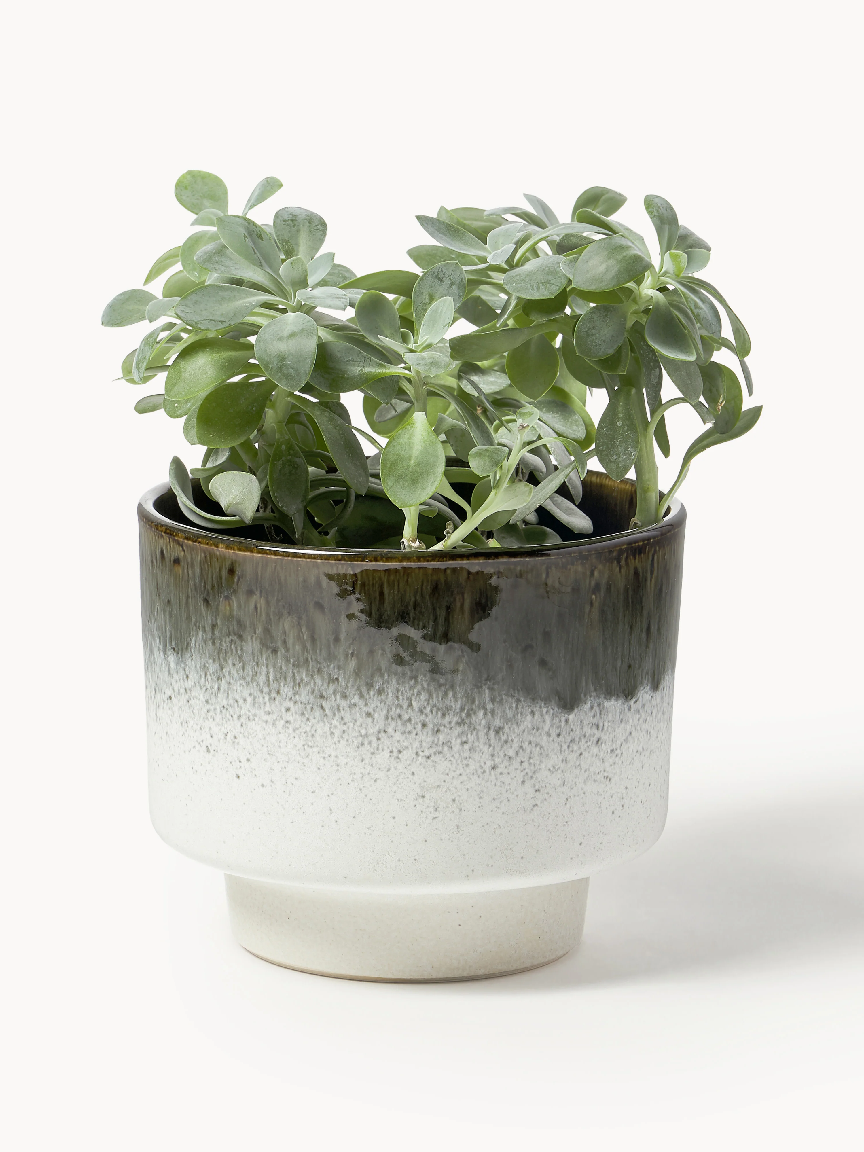 Geglazuurde plantenpot Solis, H 17 cm
